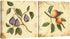 Wieco Art Fruit for Kitchen Decor 2 Piece Giclee Canvas Prints Wall Art By Flowers and Trees Oil Paintings Style Pictures for Bedroom Home Decorations Modern Stretched and Framed Grace Artwork