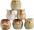 SUN-E SE Owl Pot Ceramic Flowing Glaze Base Serial Set Succulent Plant Pot Cactus Plant Pot Flower Pot Container Planter with Drainage Hole Home Office Desk Garden Gift Idea 6pcs 2.5 Inch