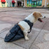 derYEP Dog Drag Bag Durable Indoor for paralyzed Disabled Back Rear Legs Dog Protects Chest and Limbs (M)…