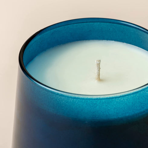 LA JOLIE MUSE Eucalyptus & Fig Scented Candle, Candles for Home Scented, 75 Hours Long Burning, 12.3 oz