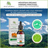 Jeune Naturelle Pumpkin Seed Oil Organic - 100% Pure RAW Cold Pressed Undiluted Pumpkin Seed Oil For Anti Aging Wrinkle Repair Dark Spots Scars Acne Hair Growth Serum Pumpkin Oil - Vitamin E Oil For Skin, 2 oz