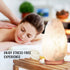 Himalayan Glow Hand Crafted White Salt Lamp, Night Light