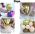 GIHOO Baby Shower Decoration 140Pcs Coffee Brown Balloon Arch Garland Kit Chrome Gold Latex Balloons for Bear Themed Birthday Neutral Wild One 1st Birthday Backdrop Party