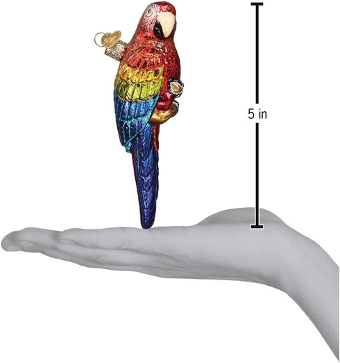 Old World Christmas Ornaments: Bird Watcher Collection Glass Blown Ornaments for Christmas Tree, Parrot