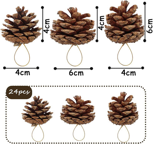 JOHOUSE 24PCS PineCones, Natural PineCones Package, PineCones Ornaments for Christmas Autumn and Winter Crafts Decorating, 1.9-2.5inches