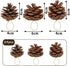 JOHOUSE 24PCS PineCones, Natural PineCones Package, PineCones Ornaments for Christmas Autumn and Winter Crafts Decorating, 1.9-2.5inches