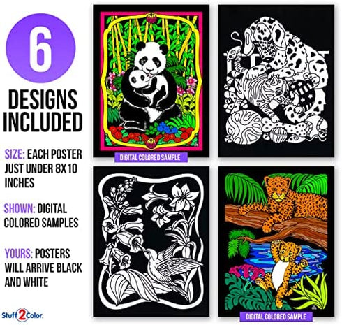 Stuff2Color Panda, Kitten, Dragon and Knight, Leopards, Humming Bird, Frog - 6 Fuzzy Velvet Coloring Posters