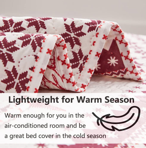 Lodge Style Ultra Lightweight Quilt Set Queen Size 90"x90", Striped 3 Piece Bedding Sets, Deer Snowflake Printed Rustic Bedspread Coverlet for Cabin Country Home Bedroom Decor,1 Quilt + 2 Pillow Shams