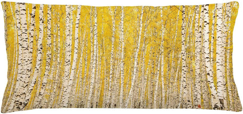 Lunarable Landscape Throw Pillow Cushion Cover, Autumn in Birch Forest Golden Yellow Leaves Seasonal Scenics Picture, Decorative Rectangle Accent Pillow Case, 36" X 16", Mustard Black