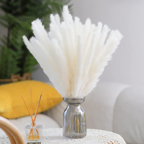 Pampas Grass, 65Pcs Natural Dried Pampas Grass Decor With 20Pcs Cream White Pampas Grass& 20Pcs Brown Pampas&25Pcs Pompous Grass,17.5"Bouquet For Dried Flowers Decor And Flower Arrangements Home Decor