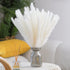 Pampas Grass, 65Pcs Natural Dried Pampas Grass Decor With 20Pcs Cream White Pampas Grass& 20Pcs Brown Pampas&25Pcs Pompous Grass,17.5"Bouquet For Dried Flowers Decor And Flower Arrangements Home Decor