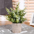 HC STAR Artificial Plant Potted Mini Fake Plant Decorative Lifelike Flower Green Plants