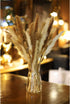 GREAT PEAK 100 Pcs Pampas Grass, 20 Pcs Natural Dried Pampas, 20Pcs White Pampas, 60Pcs Rabbit Tail Grass for Home and Boho Decor, Wedding Flower Arrangement, Fluffy Pampas Tall Grass Bouquet