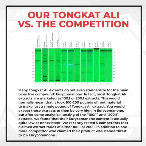 Tongkat Ali Extract Capsules | 200mg | 60 Count | 2% Eurycomanone by HPTLC | Eurycoma longifolia Root Extract