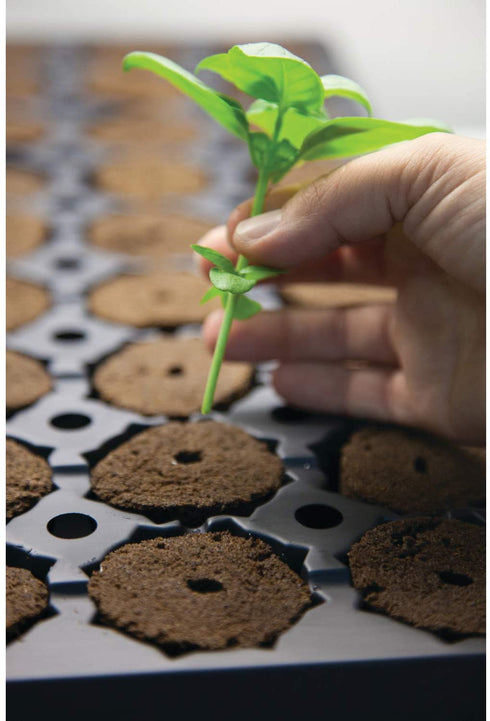 General Hydroponics Rapid Rooter Plant Starters, 50 Plugs
