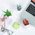 Veryhome Fake Succulent Plants Artificial Faux Succulents Mini Potted Plastic Succulents for Home Office Room Deco (Black Geometric Potted - 4pcs)