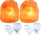Pursalt 2 Pack Himalayan Natural Salt Lamp Night Light Plug in, Certificated 360 Degree Rotatable Wall Plug with Extra 4 Replacement Bulbs for Bathroom Bedroom, Pink Crystal Rock Salt Hand Crafted