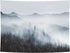 Heopapin Misty Forest Tapestry Forest Trees with Mountain Tapestry Black and White Fantastic Fog Magical Tapestry 3D Vision Nature Landscape Tapestry for Bedroom Living Room Dorm (W78.7 — H59.1)