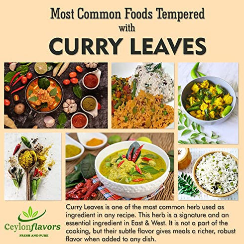 Ceylonflavors Curry Leaves Gluten Free Naturally Air Dried Herbs Fresh Groceries with All Flavors Asian Food Spices Pure and Organic - Kari Patta 0.5 oz / 15 g