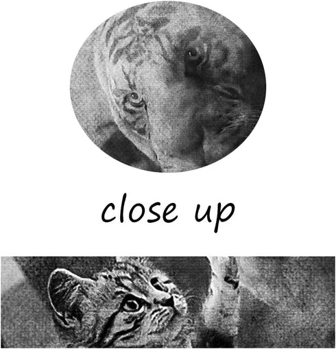 Modern Inspirational Picture Wall Art Mindset is Everything Cat and Tiger Motivational Entrepreneur Quotes Canvas Inspiring Painting Artwork Ready to Hang for Home Office Decor - 12''W x 18''H