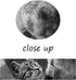 Modern Inspirational Picture Wall Art Mindset is Everything Cat and Tiger Motivational Entrepreneur Quotes Canvas Inspiring Painting Artwork Ready to Hang for Home Office Decor - 12''W x 18''H