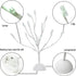 Money Tree Gift Card Holder with 10 Clips and 25 LED Light Up Lights Present Card Picture Display Tree Table Stand Creative Gift for Christmas/Birthday/Graduation Party
