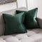 MIULEE Pack of 2 Decorative Velvet Throw Pillow Cover Soft Pillowcase Solid Square Cushion Case for Sofa Bedroom Car 20x20 Inch 50x50 cm Army Green