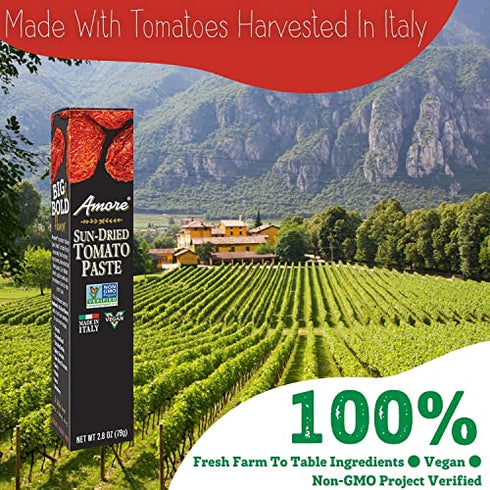 Amore Vegan Sun Dried Tomato Paste In A Tube - Non GMO Certified and Made In Italy (Pack of 1)