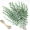 Artificial Eucalyptus Stems 24pcs Fake Eucalyptus Leaves Real Touch Artificial Greenery Bulk 15in for Wedding Home Farmhouse Party Decoration