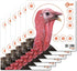 EZ Aim™ Paper Shooting Target Turkey Target by Allen®, 12 inch x 12 inch, 6 Pack, Multicolor, One Size (15322)