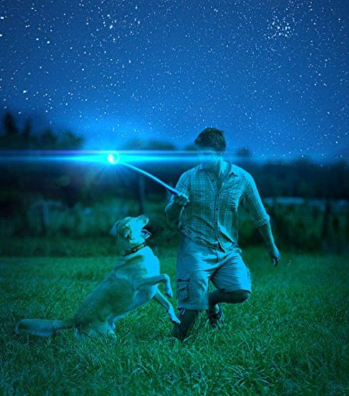 ChuckIt! Max Glow Ball, X-Large