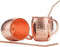 Moscow Mule Copper Mugs, Beer Glasses, Gift Set of 2, 16 oz, Food Safe HandCrafted Hammered Mug Pure Solid Copper Beer Mugs Wine Tumbler Cups, xmas Gift Set With 2 Cocktail Copper Straws