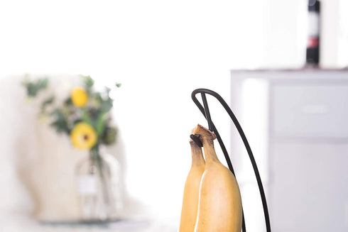 Basicwise Wire Metal Fruit Basket Holder with Banana Hanger, Black, (QI003494)