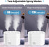 Mini Humidifier, 800ml Small Plant Humidifier, Portable Cool Mist Humidifiers for Bedroom, Personal Desk Humidifier for Baby Office Home, Auto Shut Off, Dual Nozzle Design, Super Quiet, White