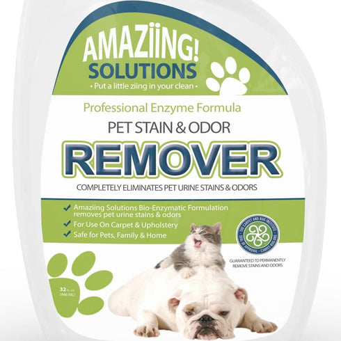Amaziing Solutions Pet Odor Eliminator and Stain Remover Carpet Cleaner for Dog Urine and Cat Pee, Professional Strength Enzymatic Solution, Natural Enzymes for Carpet and Hardwood Floors (32oz)