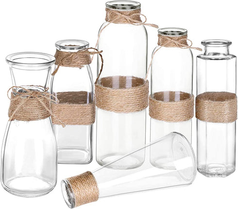 Jelofly Glass Vases Clear Flower Bud Vase in Differing Unique Shapes Creative Rope Design - Set of 6