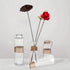 Jelofly Glass Vases Clear Flower Bud Vase in Differing Unique Shapes Creative Rope Design - Set of 6