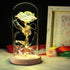 Beauty and The Beast Rose,Forever Rose with Led Light in Glass Dome for Valentine's Day Mothers Day Wedding Anniversary (Colorful Rose)