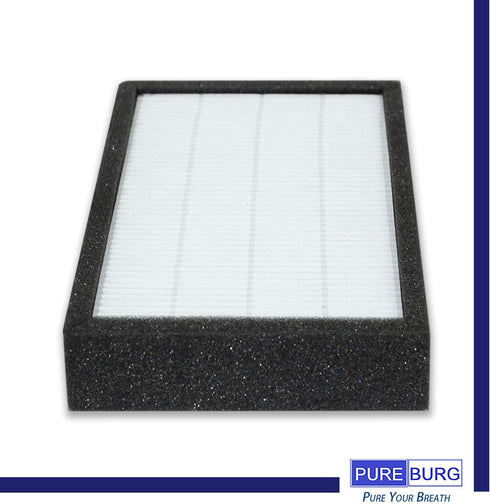 PUREBURG Replacement HEPA Filter Set 2+8 Compatible with FLT4100 AC4100 Filter E, AC4100CA AC4150BL AC4150PCA AC4150PC Part Number FLT11CB4