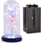 zukakii Artificial Flower Rose Gift for Mom Women, Preserved Flowers Galaxy Rose with Led Lights Unique Gifts for Women Wife Girlfriend, Mother's Day, Thanksgiving, Birthday, Anniversary - Rainbow