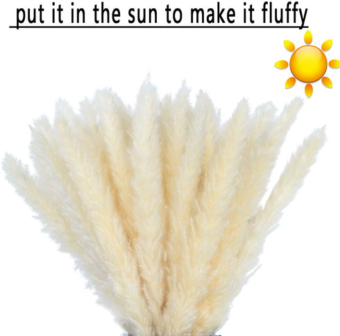 60 Pcs Pampas Grass 18? ,Dried Pompous Grass Pompass Branches for Vase Flower Arrangement Wedding Kitchen Home Decor?White?