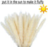 60 Pcs Pampas Grass 18? ,Dried Pompous Grass Pompass Branches for Vase Flower Arrangement Wedding Kitchen Home Decor?White?