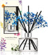 COCODOR Preserved Real Flower Reed Diffuser / Pure Cotton / 6.7oz(200ml) / 1 Pack / Reed Diffuser Set, Oil Diffuser & Reed Diffuser Sticks, Home Decor & Office Decor, Fragrance and Gifts
