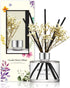 COCODOR Preserved Flower Reed Diffuser/White Jasmine/6.7oz(200ml)/1 Pack/Home & Office Decor Aromatherapy Diffuser Oil Gift Set