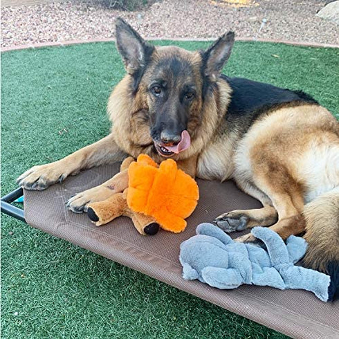 Jalousie 5 Pack 12'' Dog Toys Assortment Value Bundle Dog Plush Toys Dog Squeak Toys12 Inch Each Dog Squeaky Toys Assortment for Medium to Large Breeds - Include Raccoon Elk Hippo Fox Sloth
