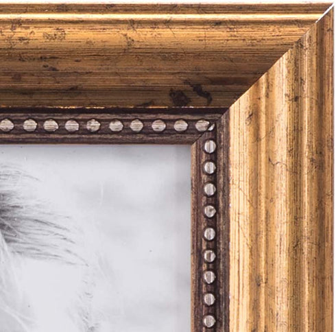 Malden International Designs 2177-46 Classic Wood Picture Frame,4x6, Gold