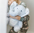 Elephant Tooth Fairy | Pillow for Girls | 10" Tooth Fairy Pillow Boy | Tooth Fairy Kit w/ Door Hanger & E-BOOK | Tooth Fairy Gifts for Girls | Tooth Holder for Tooth Fairy for Boys | Tooth Fairy Pouch