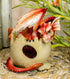 Ebros January Birthstone Dragon Egg Statue Red Gem Garnet Birthday Dragon Hatchling Figurine Fantasy Collector
