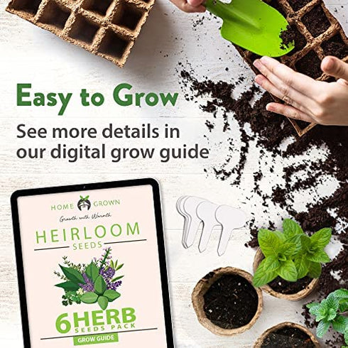 6 Herb Seeds Variety Pack – Plant an Indoor or Outdoor Herb Garden: Basil, Lavender, Cilantro, Parsley, Thyme and Oregano Seeds – 3200+ Non-GMO Heirloom Herb Seeds – Bonus Markers and Grow Guide