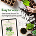 6 Herb Seeds Variety Pack – Plant an Indoor or Outdoor Herb Garden: Basil, Lavender, Cilantro, Parsley, Thyme and Oregano Seeds – 3200+ Non-GMO Heirloom Herb Seeds – Bonus Markers and Grow Guide